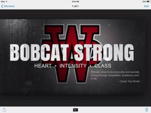 Bobcat Strong 2